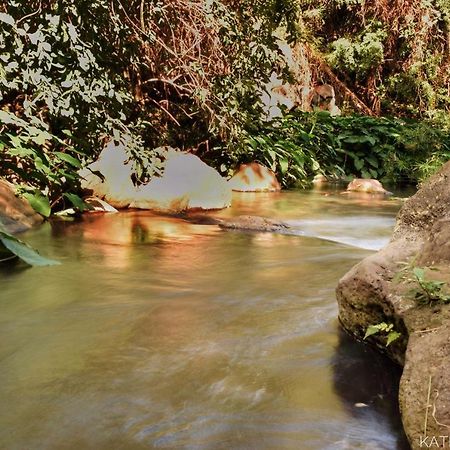 سان جيل لي بان L'Abri-Cotier A 150M De La Plage De Boucan المظهر الخارجي الصورة