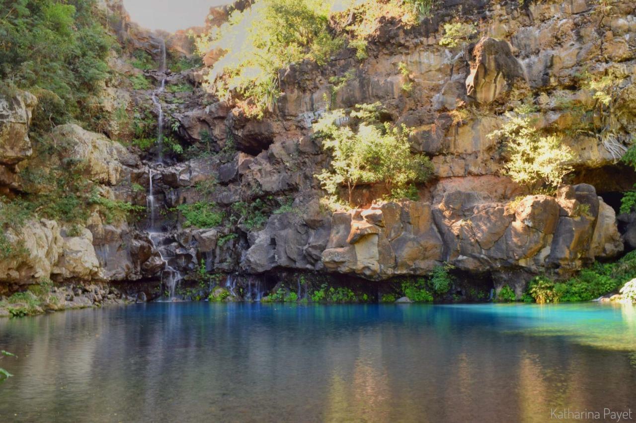 سان جيل لي بان L'Abri-Cotier A 150M De La Plage De Boucan المظهر الخارجي الصورة